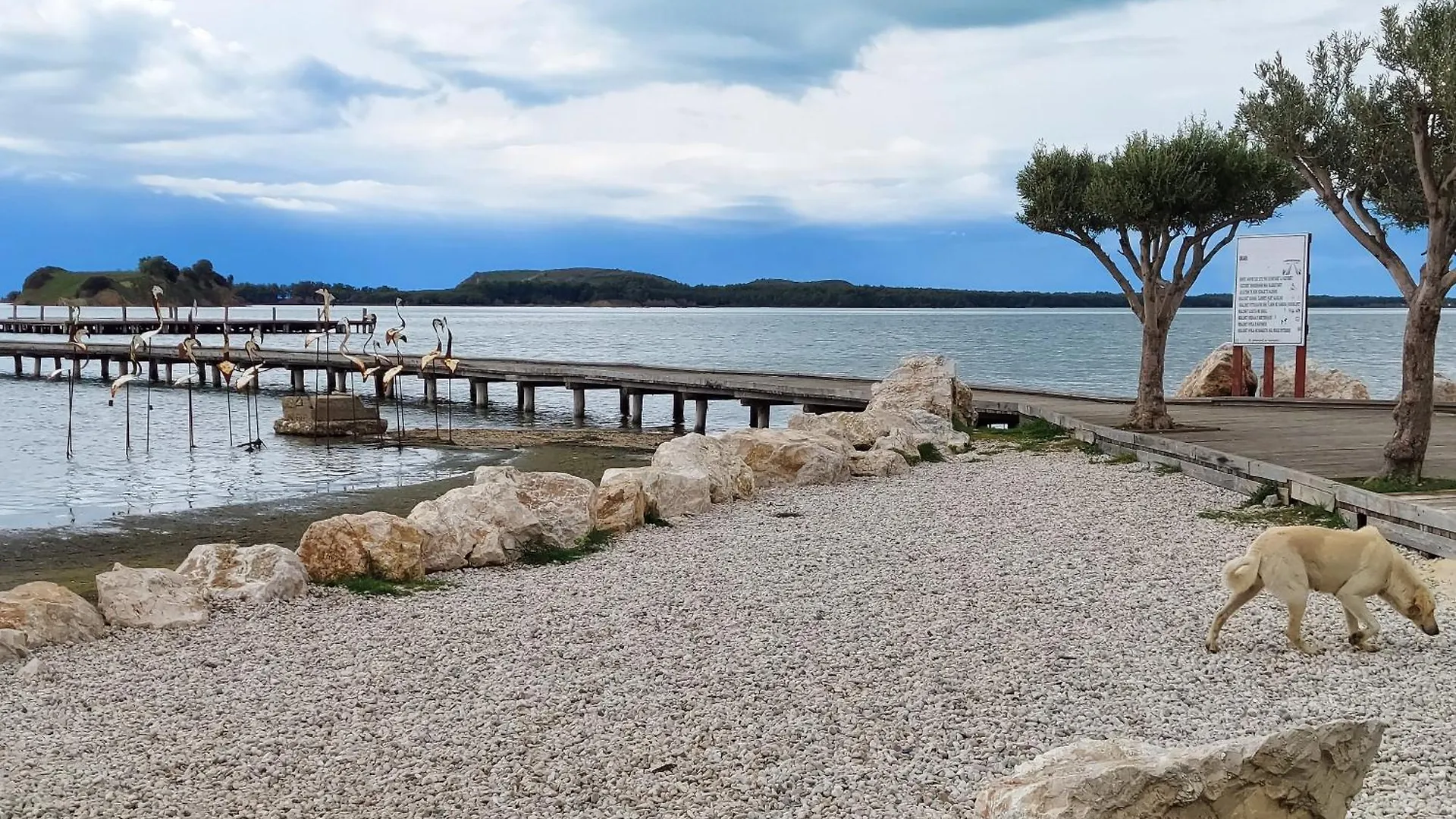 Bianca Beach Apartment دراس